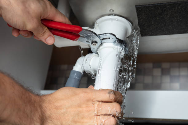 Best Residential water damage restoration  in Royal Hawaiian Estates, HI