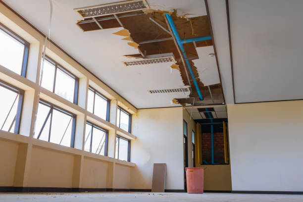 Best Flood damage cleanup  in Royal Hawaiian Estates, HI