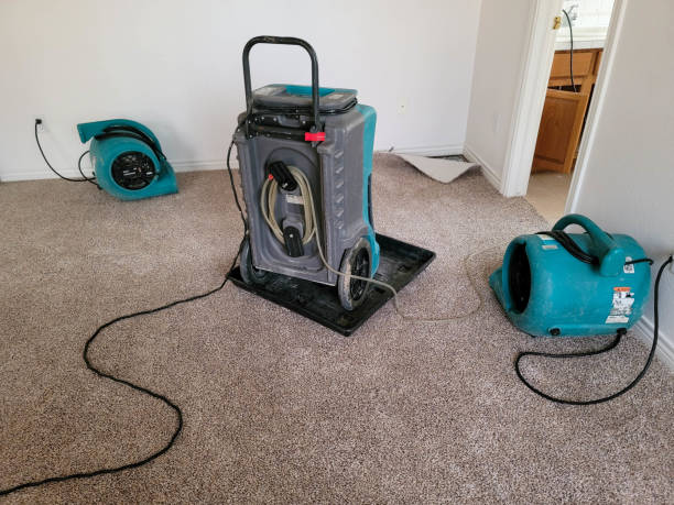 Best Carpet water damage restoration  in Royal Hawaiian Estates, HI
