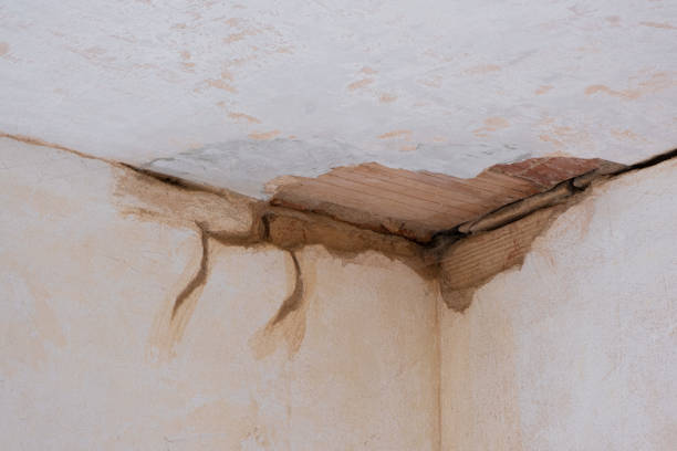 Best Ceiling water damage repair  in Royal Hawaiian Estates, HI