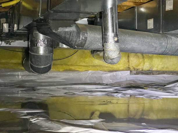 Best Flood restoration services  in Royal Hawaiian Estates, HI