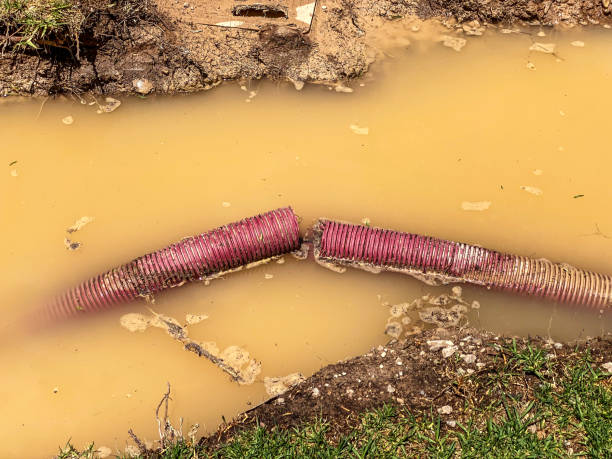 Best Water damage restoration cost  in Royal Hawaiian Estates, HI