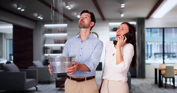  Royal Hawaiian Estates, HI Water damage restoration Pros