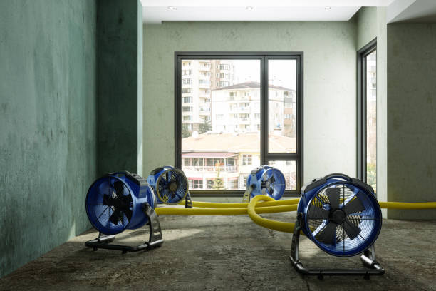 Best Flood damage cleanup  in Royal Hawaiian Estates, HI