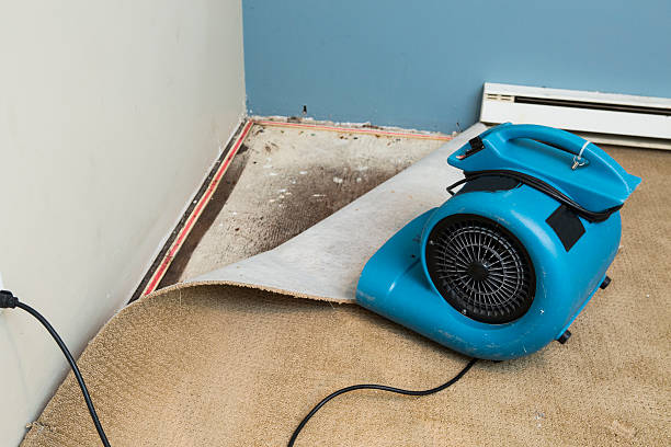 Best Flooded house restoration  in Royal Hawaiian Estates, HI
